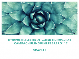 CampaChulínguini