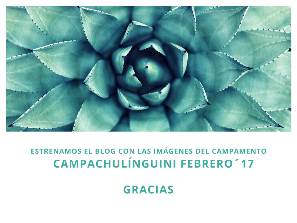 CampaChulínguini